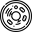 Cell Structure