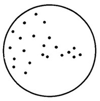 diffusion_move.jpg