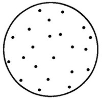 diffusion_random_settle.jpg