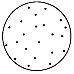 diffusion_random_settle.jpg