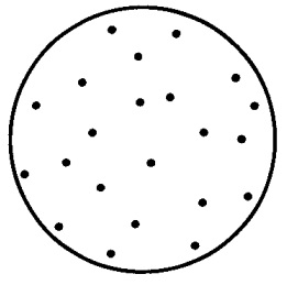 diffusion_random_settle.jpg