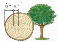 botany.gif