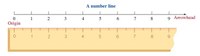 line_number.jpg