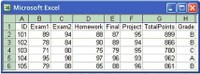 excel.png