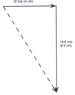 adding-forces-projectile-example.jpg — Go Math Science