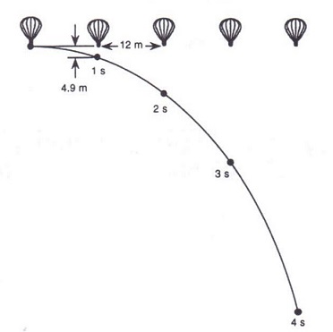 projectile_motion.jpg