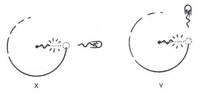 object_moving_in_circle.jpg