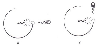 object_moving_in_circle.jpg